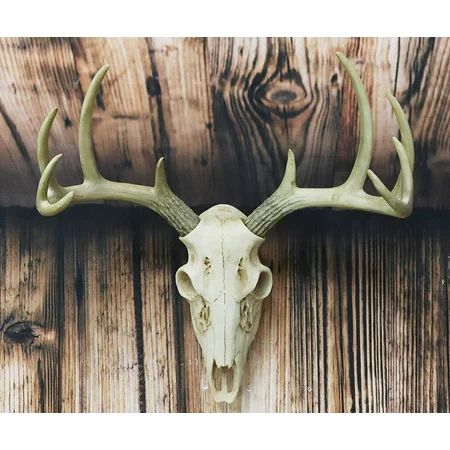 Rustic Hunter Rack Deer Skull Antler Wall Plaque Decor 10 Point Buck Figurine | Walmart (US)