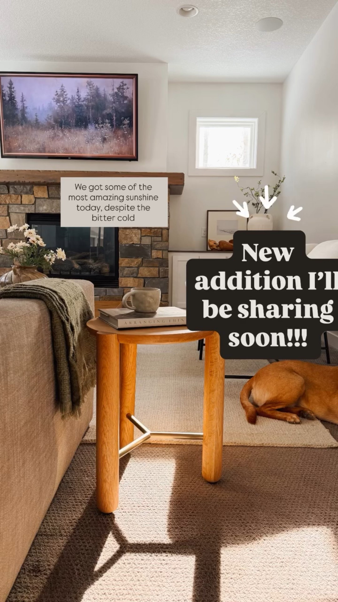 We got some of the most amazing sunshine today, despite the bitter cold New addition I’ll be sharing soon!!!