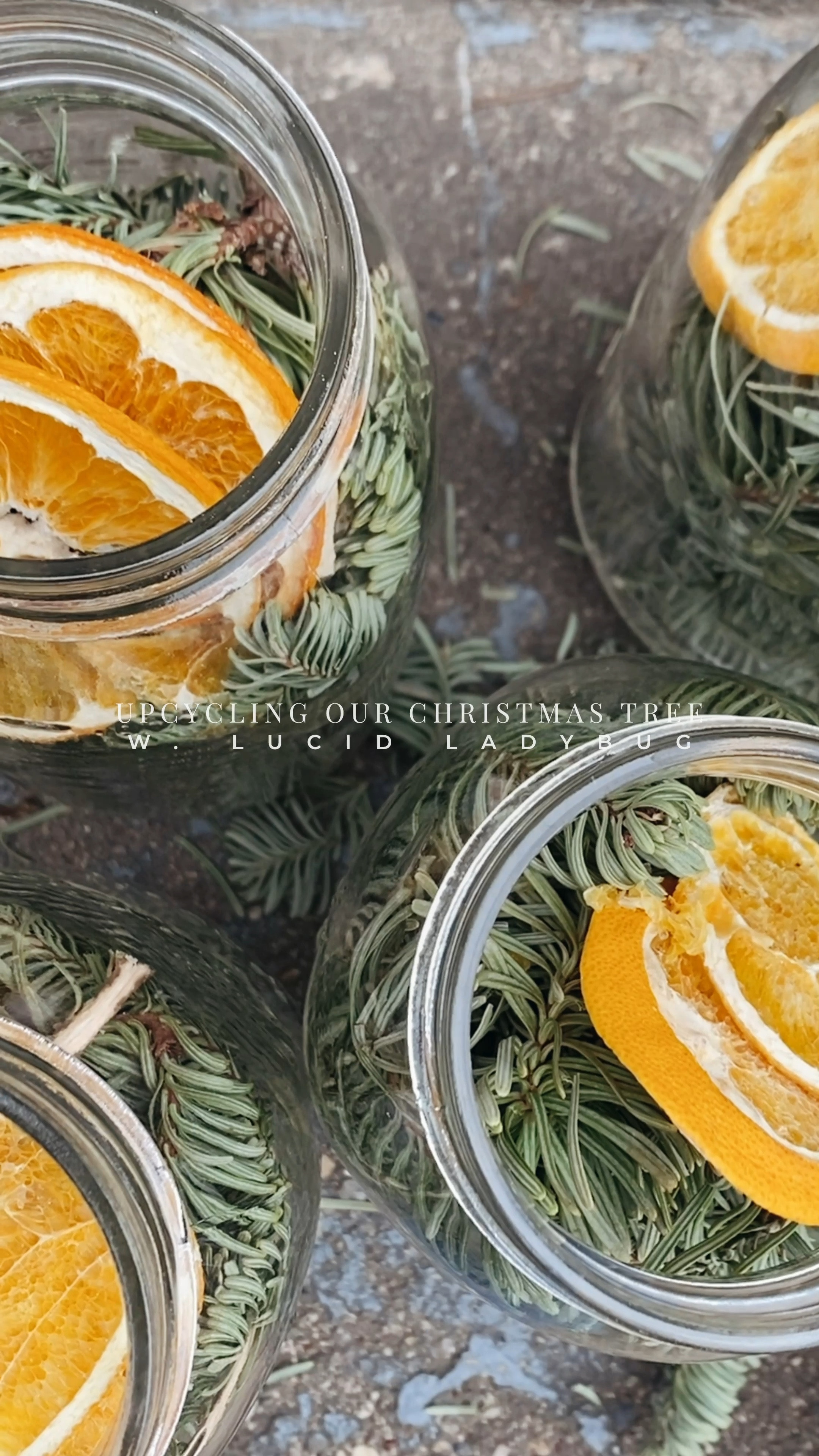 #upcycle your Christmas Tree! Pine Needles, dried citrus, and distilled vinegar in a mason jar for a few months… Mix with Castile soap and water for a #nontoxic cleaning spray! 🎄💫 #christmastree #diycleaner

#LTKSeasonal #LTKHome
