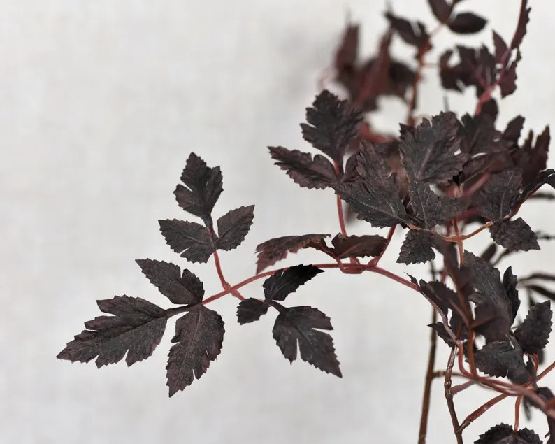 Faux Plum Purple Cimicifuga Leaf Spray - High Quality Artificial Foliage / Greenery / Plant / Wed... | Etsy (US)