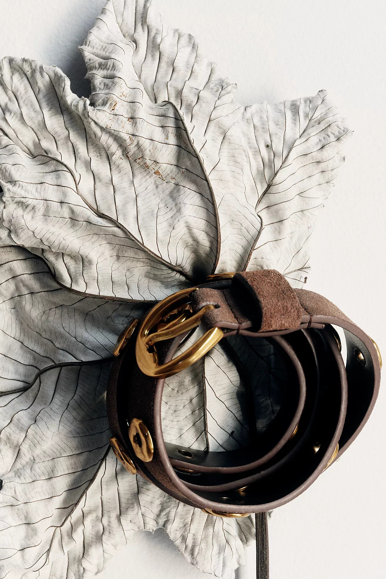 By Anthropologie Circle Studded Belt | Anthropologie (US)