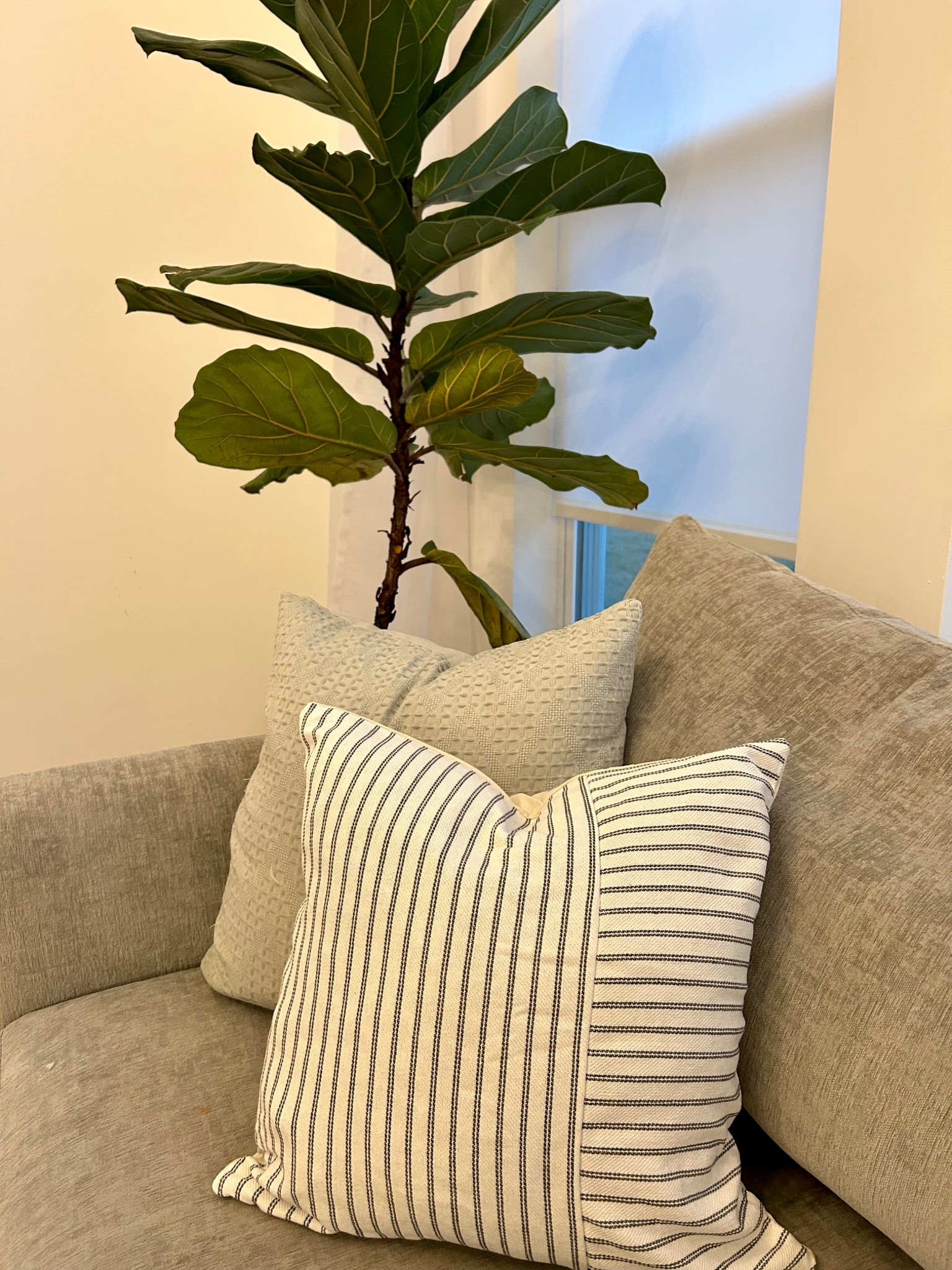 Spring home decor refresh. Love these pillow covers. They come in a set of two. I keep the same pillow inserts and change the cover each season! 

#LTKHome #LTKFindsUnder50 #LTKSeasonal