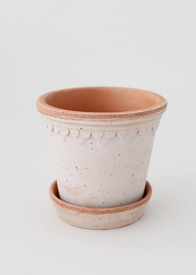 Bergs Pink Washed Terra Cotta Pot and Saucer - 6" Tall x 6.25" Wide with Drainage - Wedding, Even... | Amazon (US)