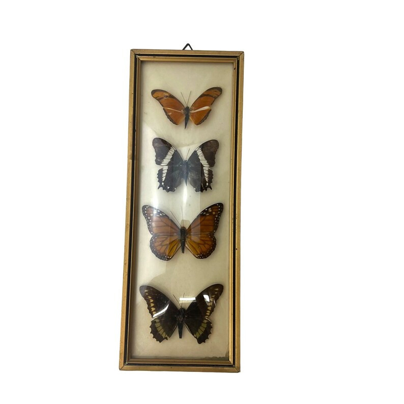 Butterfly Picture Preserved Monarch Framed Art Vintage Retro 70s Wall Hanging Gallery Wall Art Na... | Etsy (US)