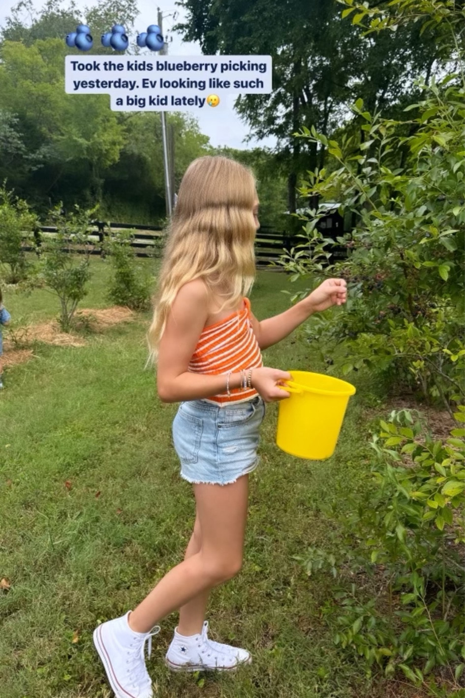 Blueberry picking with Everleigh! Love cute casual girl outfit from Amazon! 🩵

#LTKSeasonal #LTKfamily #LTKstyletip