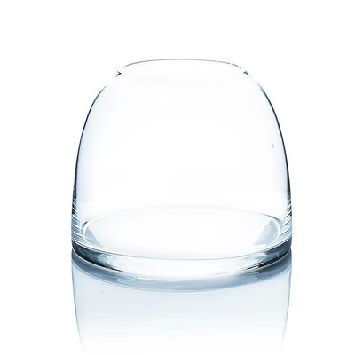 Clear 5.6" Glass Table Vase | Wayfair North America