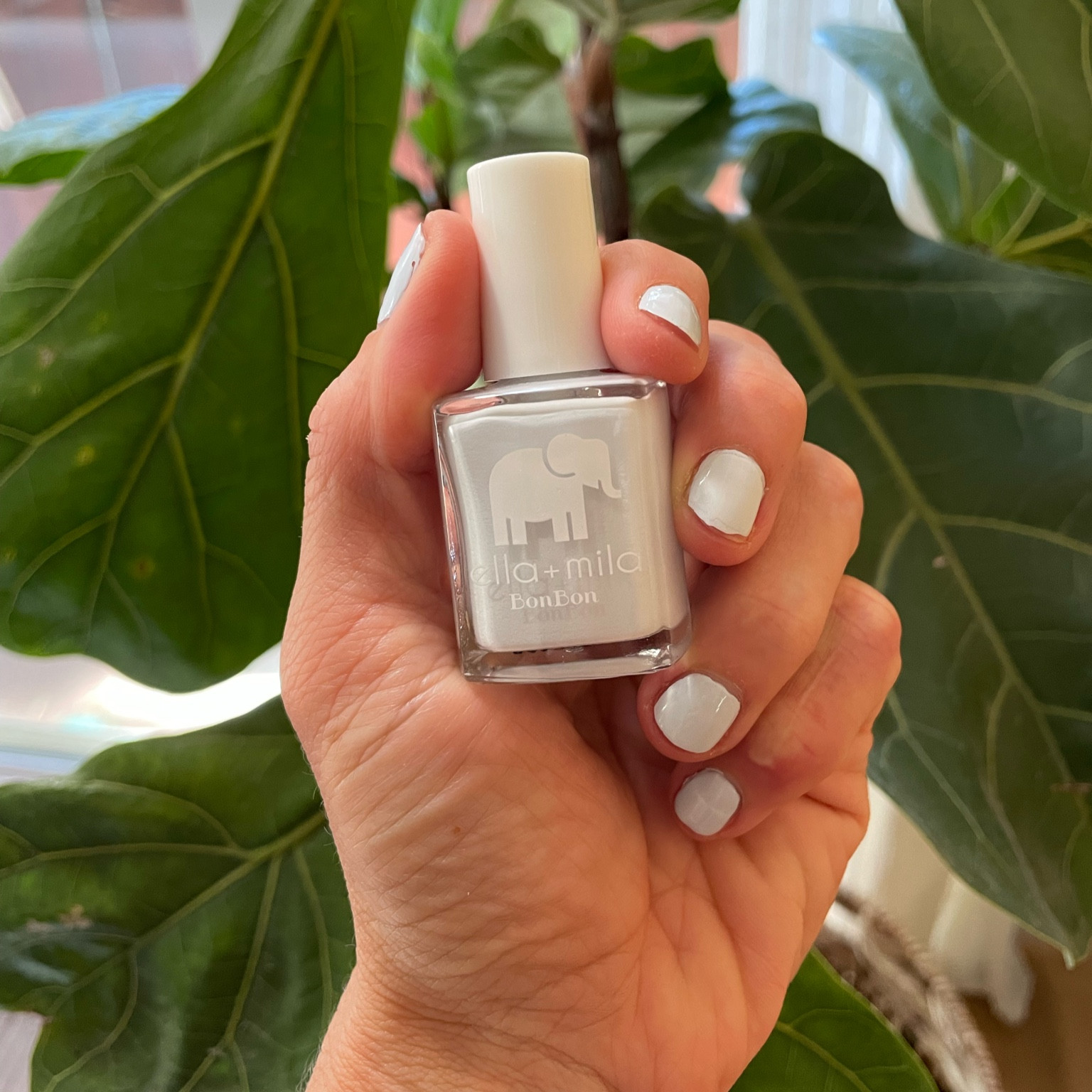 What I love most about ella+mila is that their nail polish is as conscious as it is beautiful. Vegan, cruelty-free, and 17-free, this brand truly aligns with my values. Plus, the formula is long-lasting and chip-resistant, so I can enjoy these stunning shades without worrying about constant touch-ups. And the best part? It's all made right here in the USA! 

#LTKSeasonal #LTKBeauty #LTKStyleTip