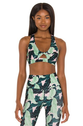 Wildfox Couture Tessa Bra in Martinique Leaves from Revolve.com | Revolve Clothing (Global)