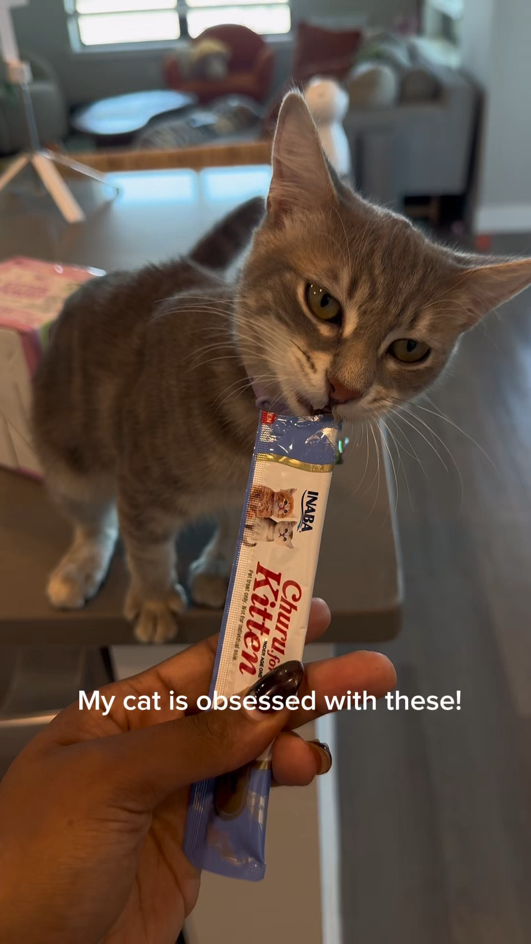 She’s obsessed!🤩 

#LTKPets #LTKTravel