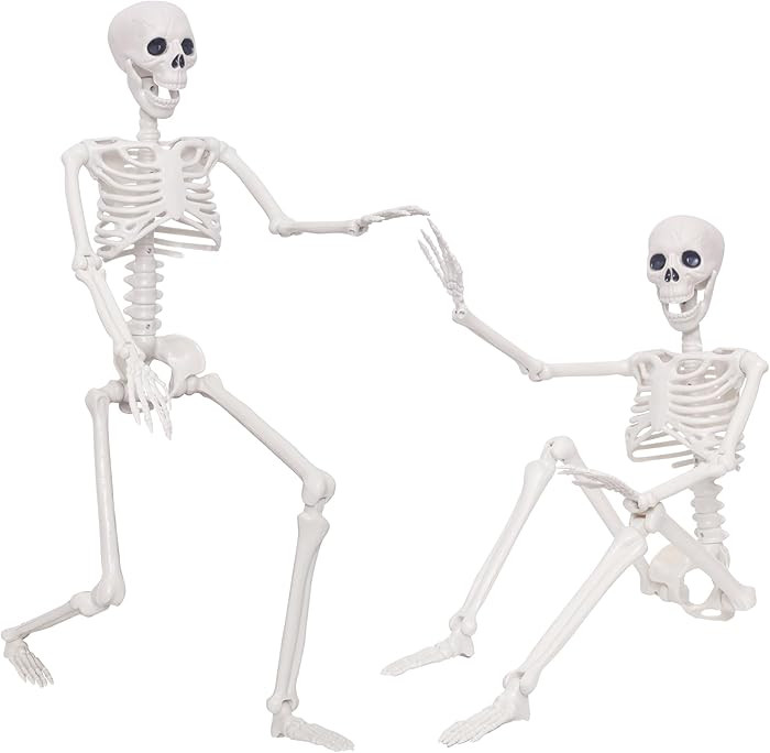 3Ft Posable Skeleton, 2PCS Life Size Plastic Human Skeleton with Movable Joints, Grey, Halloween ... | Amazon (CA)