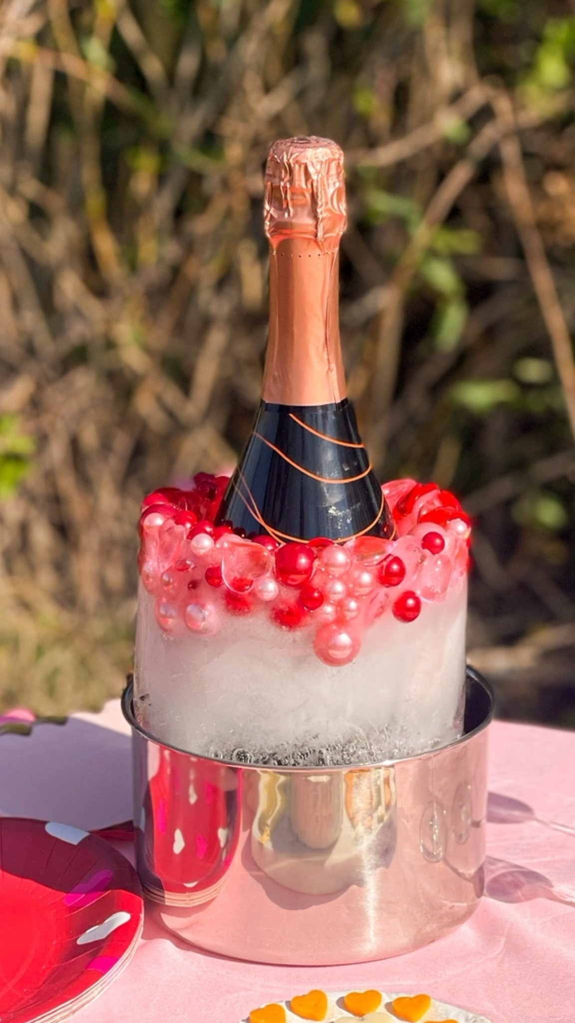 This champagne bottle ice mold or wine bottle ice mold is perfect for Valentine’s Day, a birthday, engagement party or any special occasion! ❤️💗❤️ 

#LTKSeasonal #LTKValentine #LTKHome