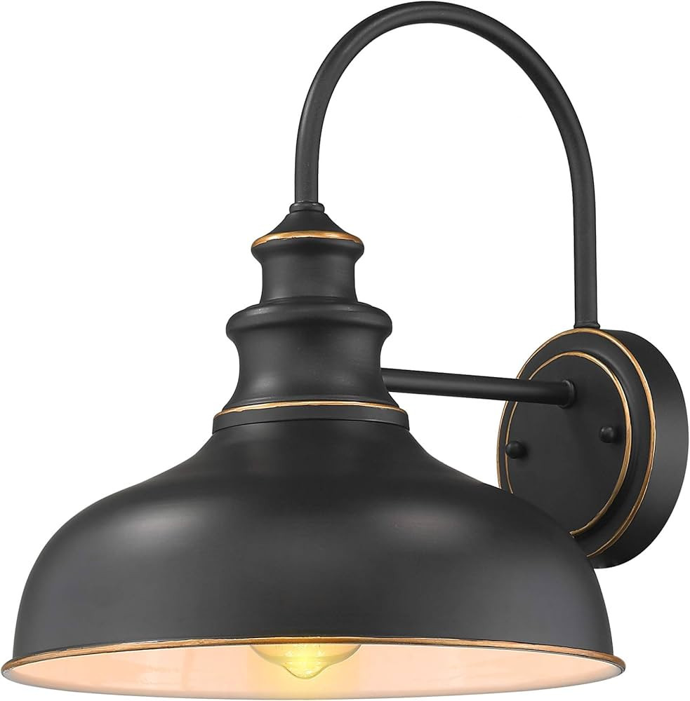 zeyu Farmhouse Gooseneck Barn Light, Wall Sconce Lighting 11 inches, Black Finish, 02A390 ROB | Amazon (US)