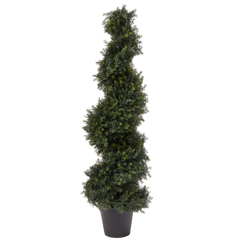 Spiral Cypress Topiary in Pot | Wayfair North America