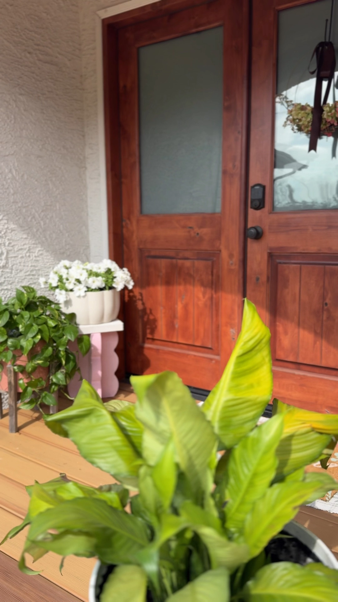 I found this scallop bowl at my local thrift store which was labeled as Halloween (maybe a candy bowl??) and brought it home for just $2.99. A couple coats of @krylonbrand Fusion All-In-One spray paint in matte white and lime paint later, she’s a beautiful textured planter on display for all to see 🤩

#diyhomeprojects #diyhome #embraceyourspace #outdoorliving #thriftfinds #porchdecor

#LTKHome #LTKSeasonal #LTKMostLoved