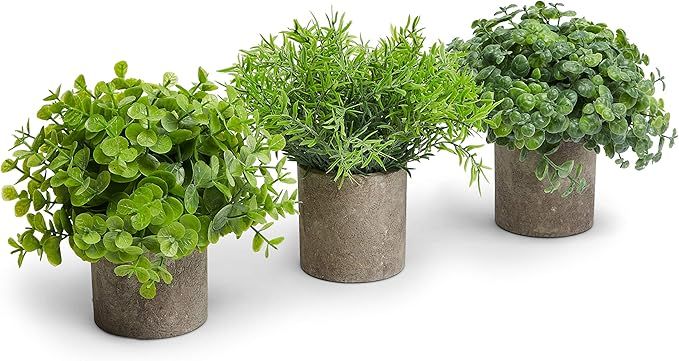 BattlBorne Mini Artificial Plants - Dark Concrete Pots - Beautiful Greenery - Bathroom/Kitchen De... | Amazon (US)