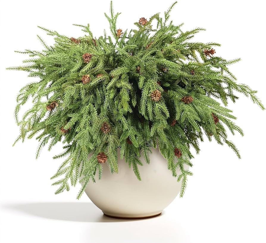 WBHome 12 Pcs Christmas Norfolk Pine Branches with Pine Cones - 18" Real Touch Norfolk Pine Branc... | Amazon (US)