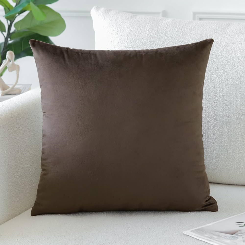 Artscope Luxury Velvet Pillow Covers Decorative Square Pillowcases Soft Solid Cushion Cases for C... | Amazon (US)
