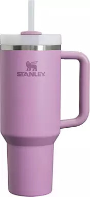 Stanley 40 oz. Quencher H2.0 FlowState Tumbler | Dick's Sporting Goods | Dick's Sporting Goods