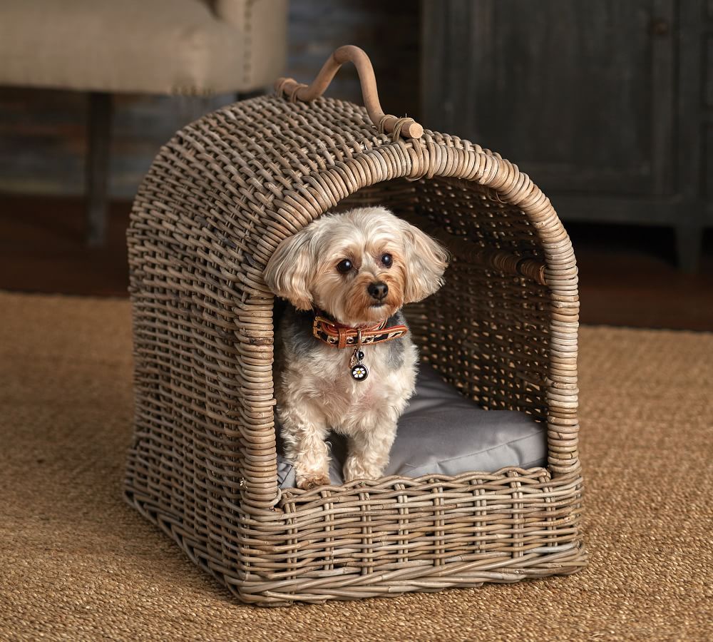 Canopy Pet Bed | Pottery Barn (US)