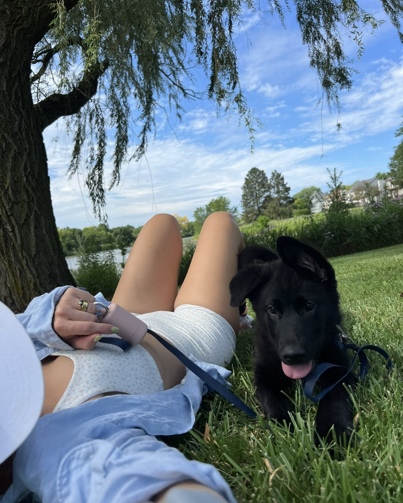 Amazon picks for our new puppy, Java 🐺💌☁️

#LTKSeasonal