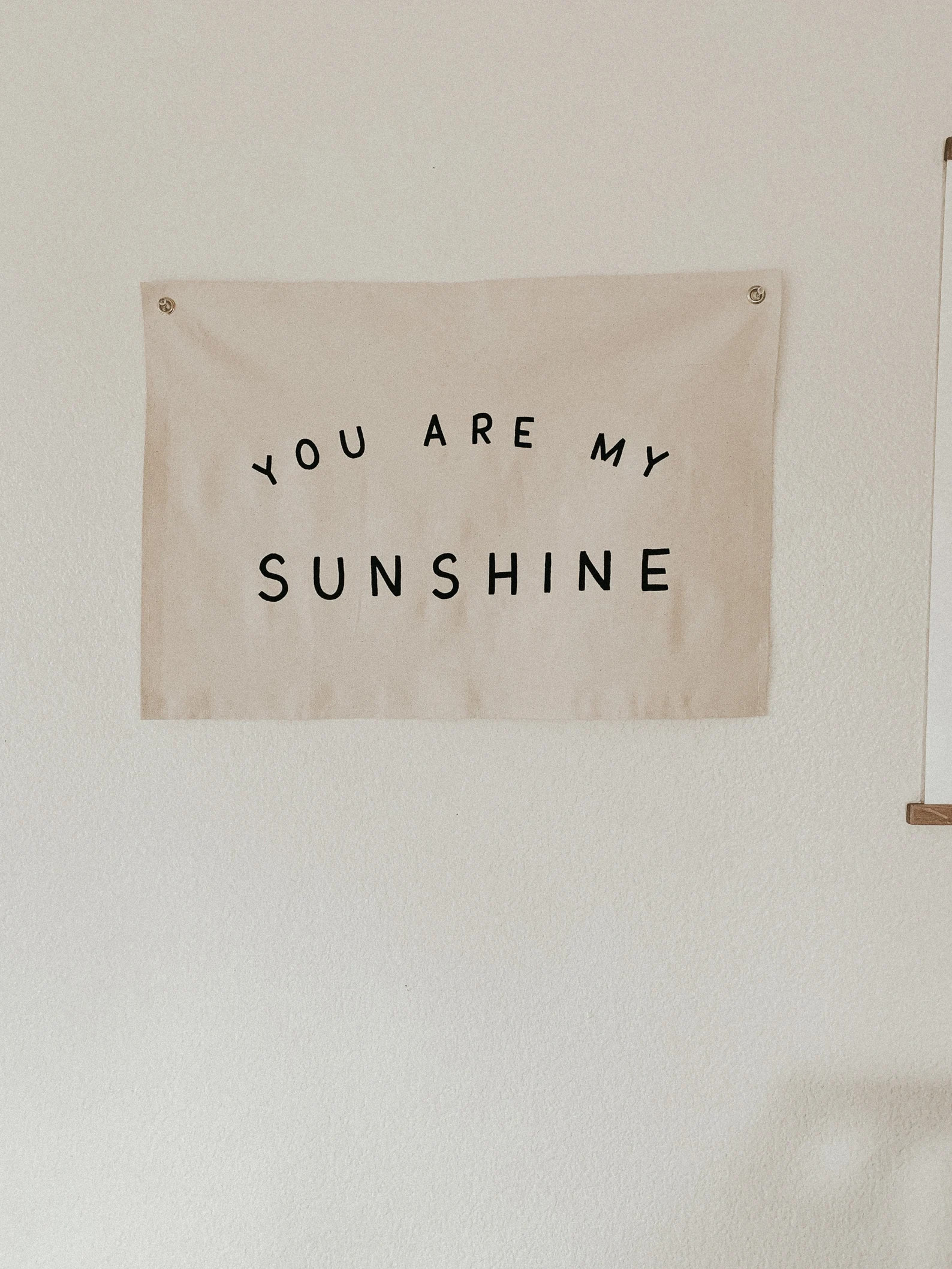You Are My Sunshine Canvas Wall Flag, Hand Painted Fabric Banner, Personalized Duck Canvas Banner | Etsy (US)