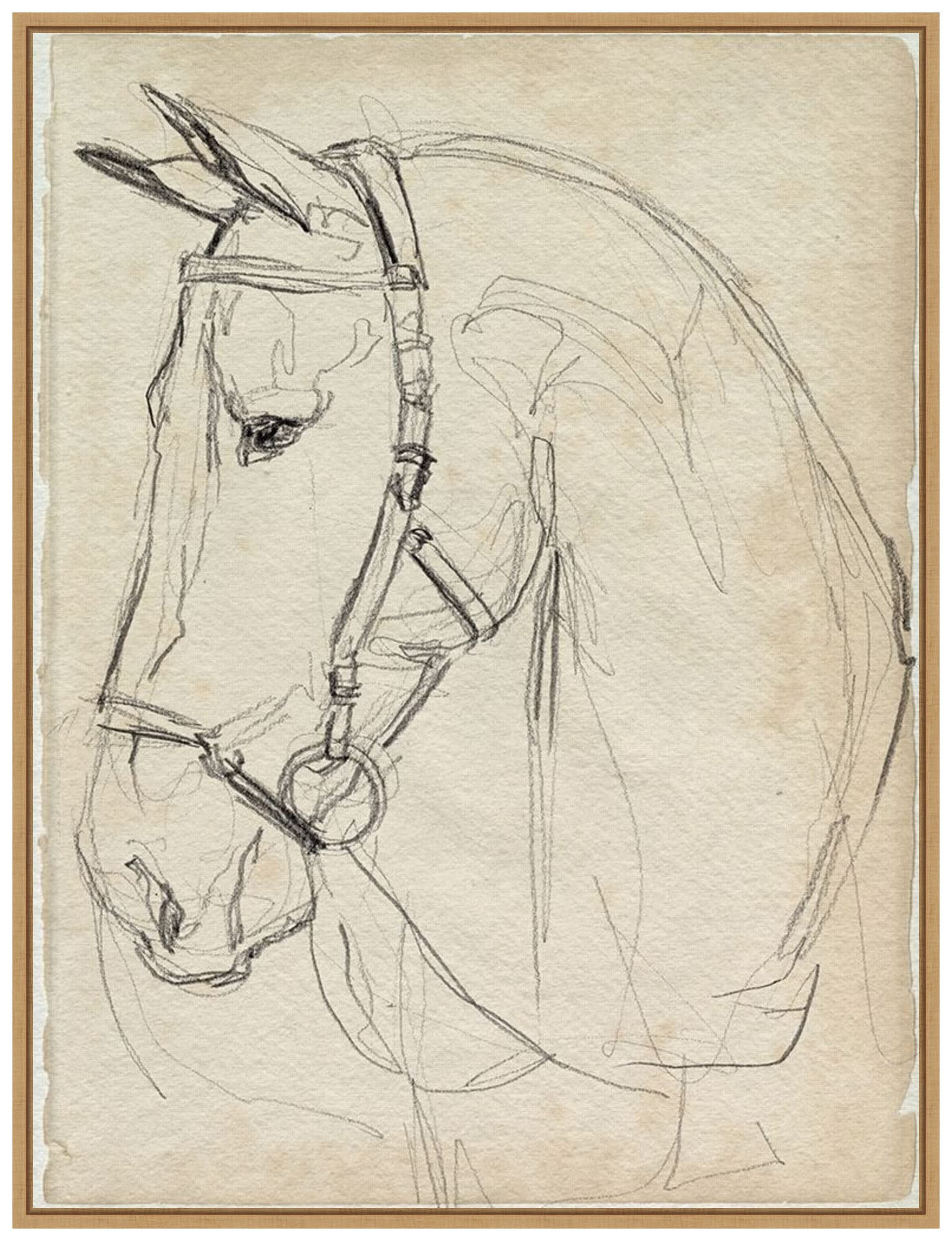 Amanti Art Framed Canvas Wall Art 30x23 Horse in Bridle Sketch II by Jennifer Paxton Parker, Fram... | Amazon (US)