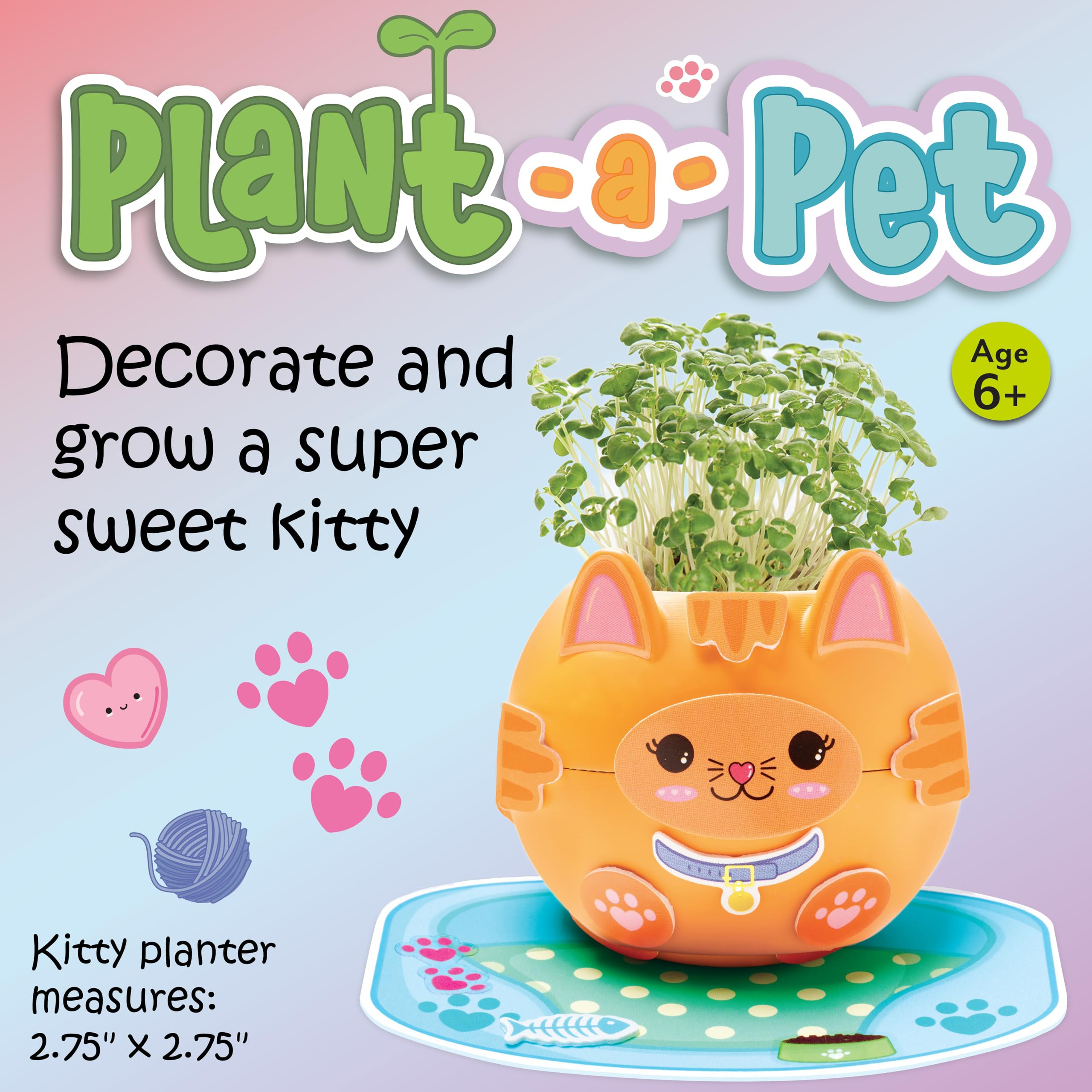 Creativity for Kids: Plant-A-Pet Kitty - Arts and Crafts Kit, Gifts for Girls and Stocking Stuffers, Boy and Girl Toys, Chia Seed Plant Pet (Ages 6+) | Amazon (US)