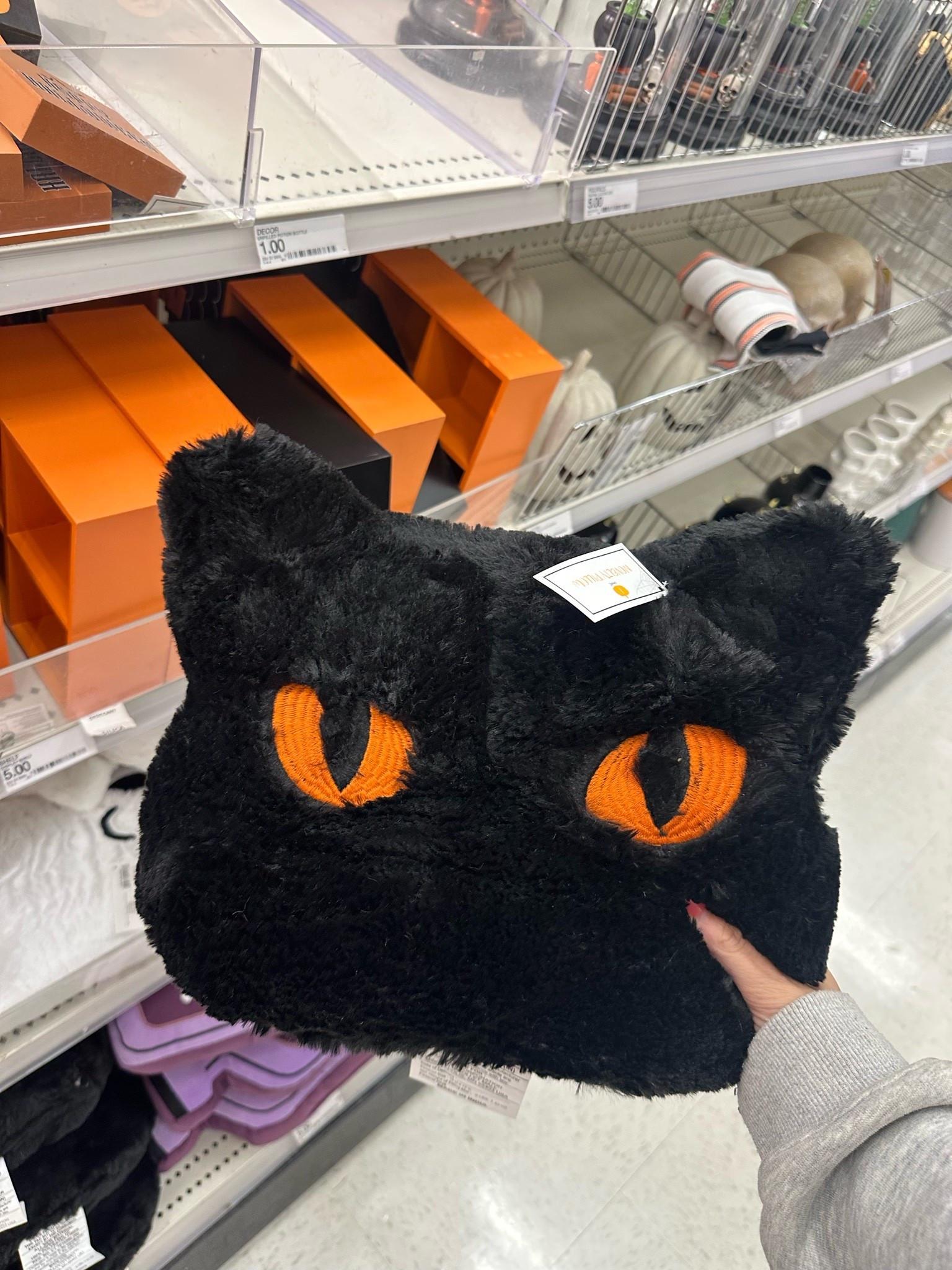 the cute fluffy black cat pillow for Halloween from Target! Only $5! ***low stock

#LTKHome #LTKSeasonal
