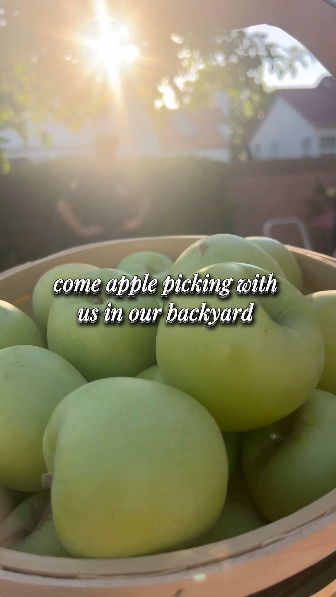 Apple picking essentials.