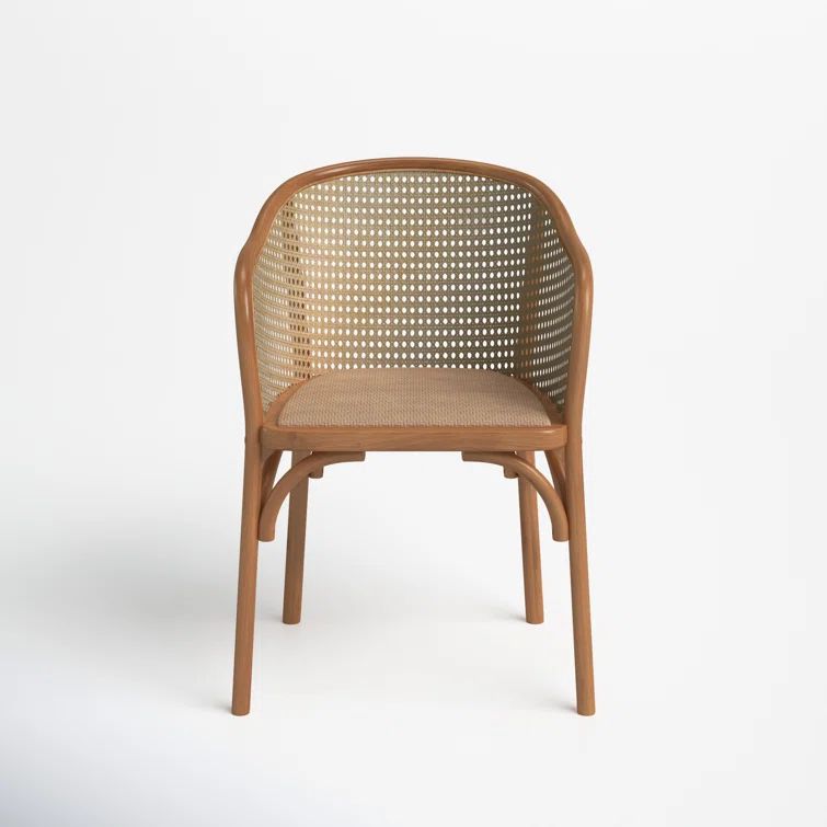 Fabiana Arm Chair | Wayfair North America