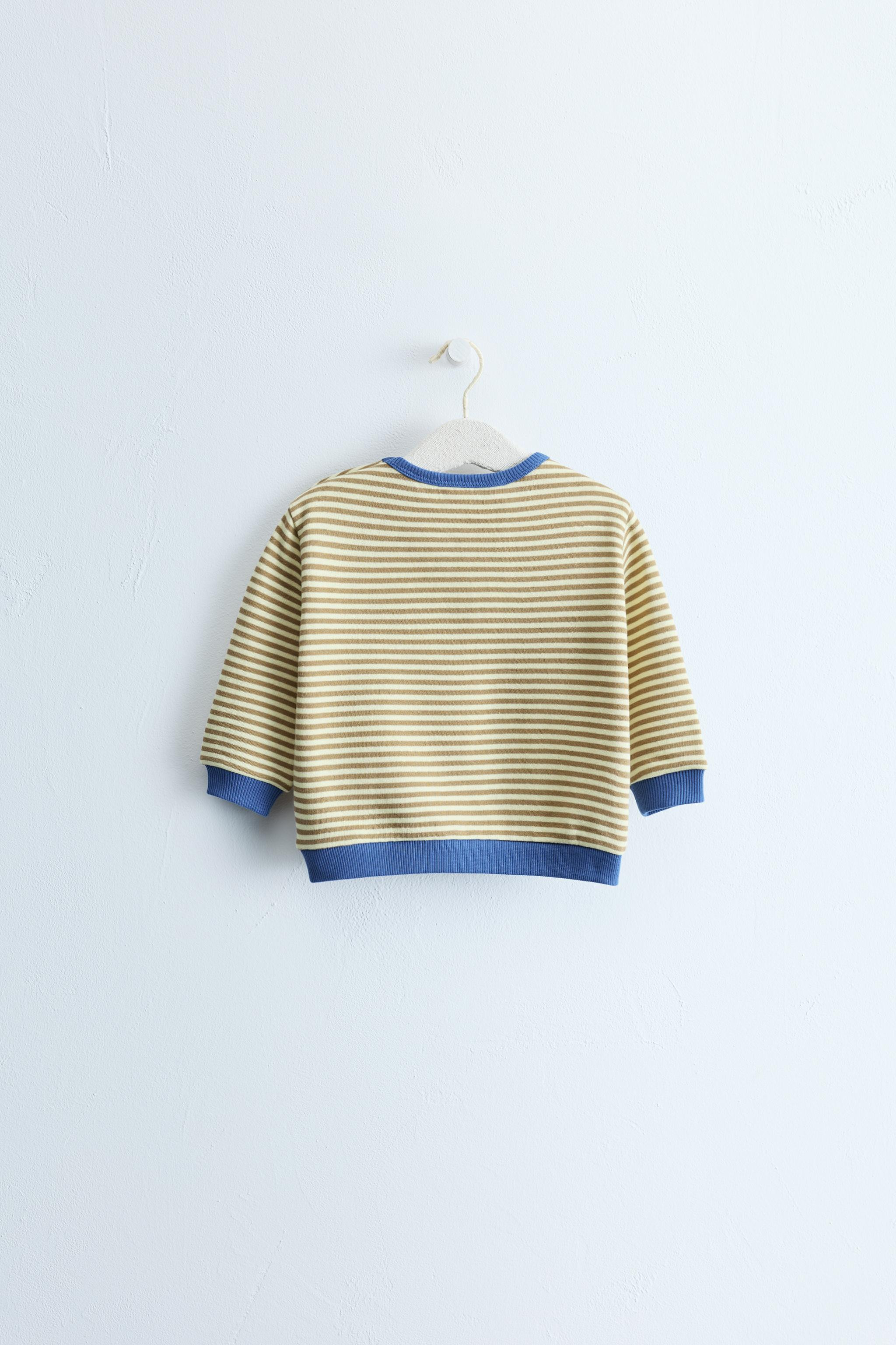 ZARA TIMELESS - STRIPED PRINT SWEATSHIRT | Zara US