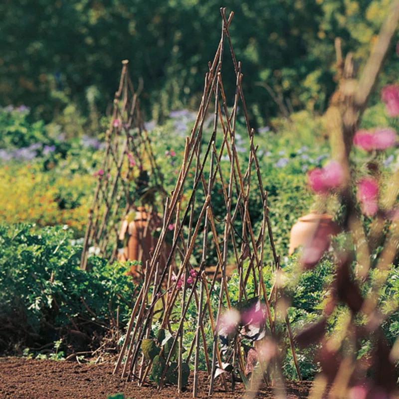 12'' W Wood Trellis | Wayfair North America