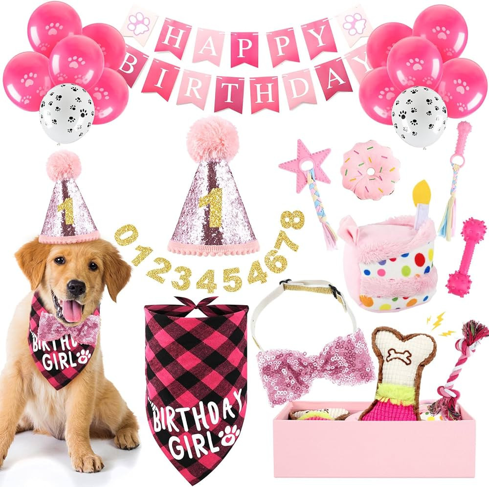 23 Pcs Dog Birthday Party Supplies Set Birthday Toys Cake Teething Squeak Interactive Decorations... | Amazon (US)