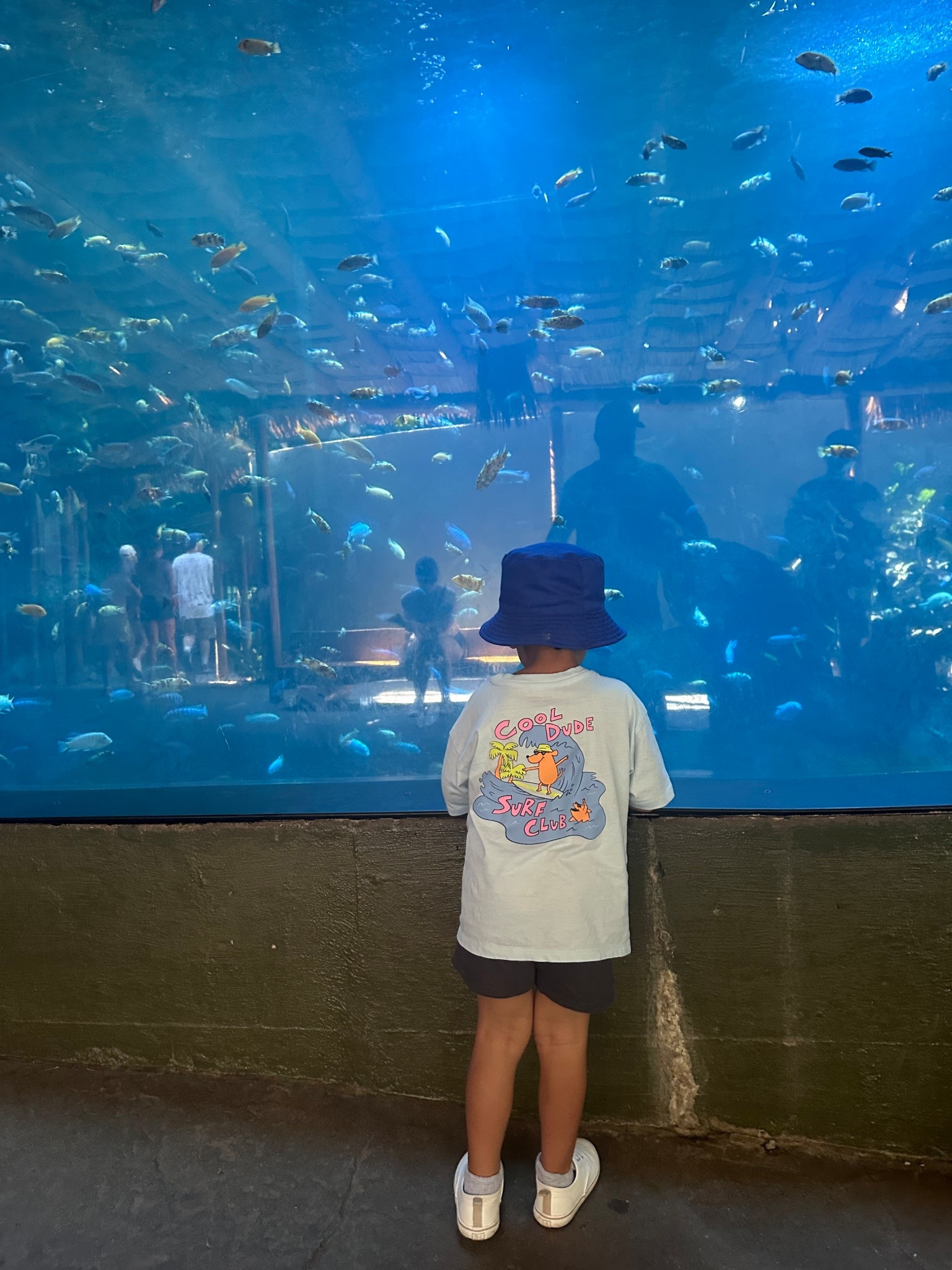 The cutest toddler boy clothes

#toddlerboy #boymom #toddlerlife #walmartcanada #oldnavy #ootd #torontomom #torontoblogger

toddler boy clothing, cute clothes for toddlers, old navy finds, walmart kids

#LTKkids #LTKsummer #LTKcanada