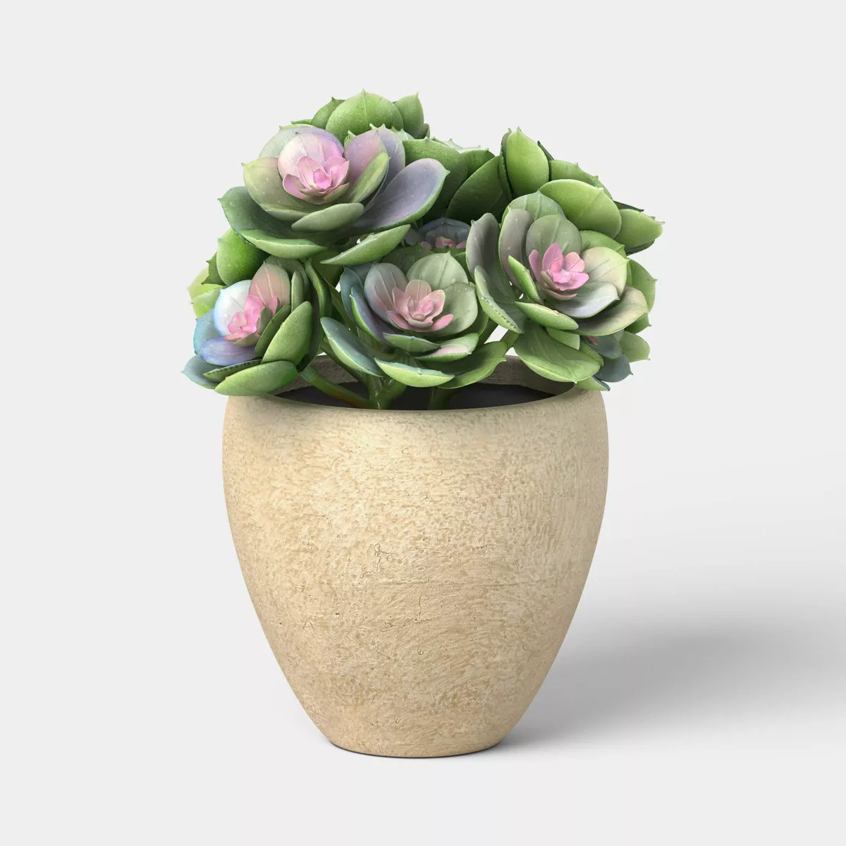 7" Aeonium Artificial Plant in Pot - Threshold™ | Target