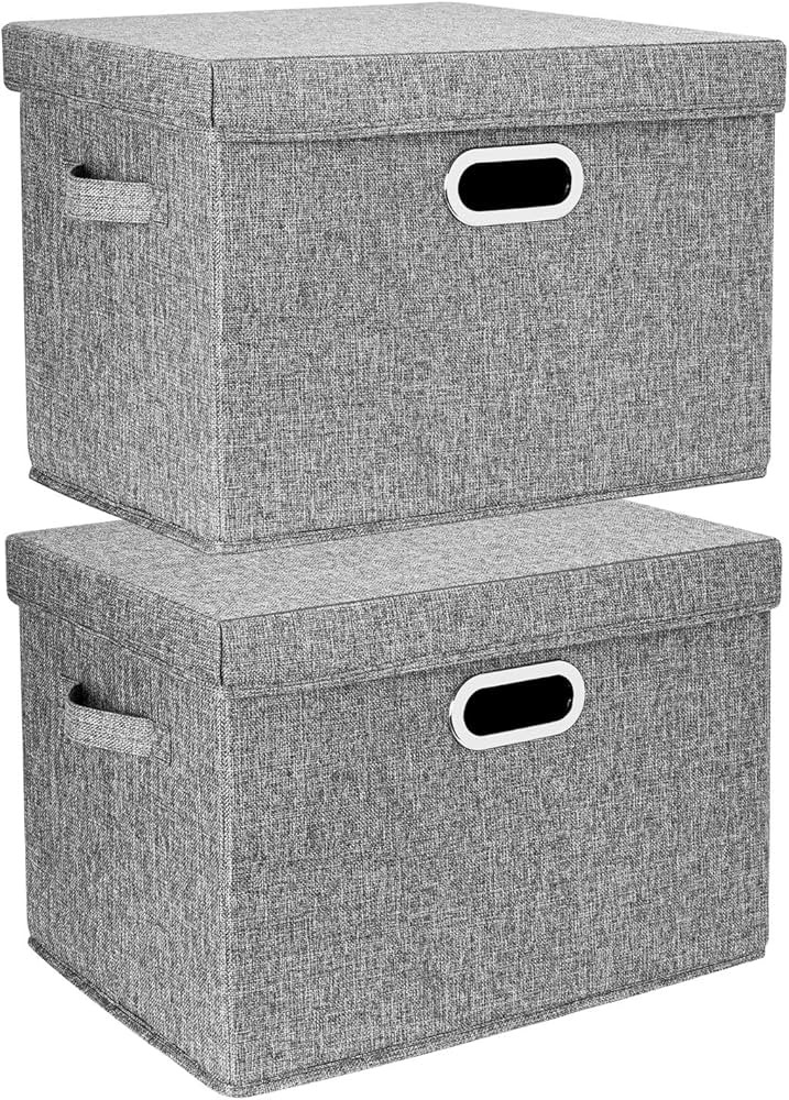 Amazon.com - TYEERS Large Collapsible Storage Bins with Lids, Organization Bins for Closet Storag... | Amazon (US)