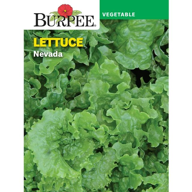 Burpee Nevada Lettuce Seeds - Non-GMO, Vegetable Gardening Seeds, 260mg, 1-Pack | Walmart (US)