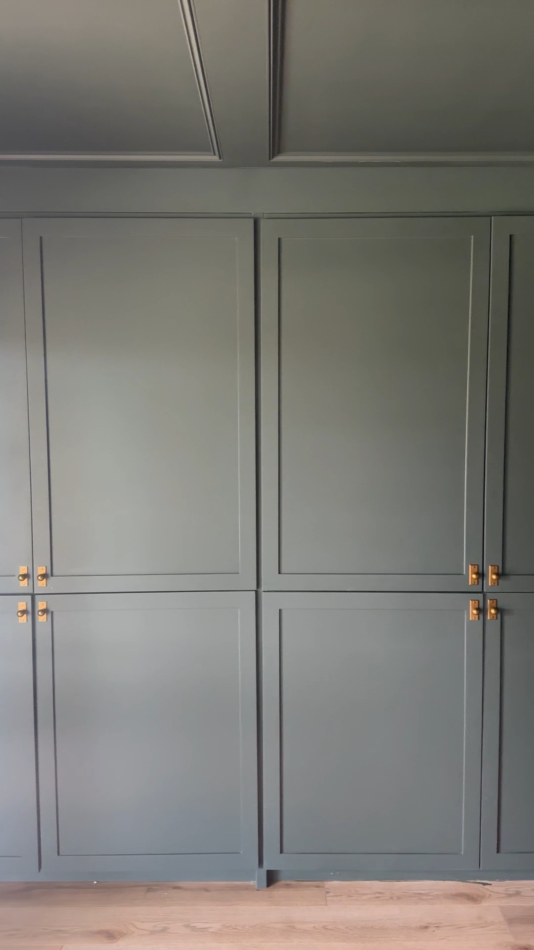 Paint: studio green by farrow + ball

Cabinet doors: custom sizes made to order from Home Depot

Hardware: Amazon 

#LTKFindsUnder50 #LTKHome