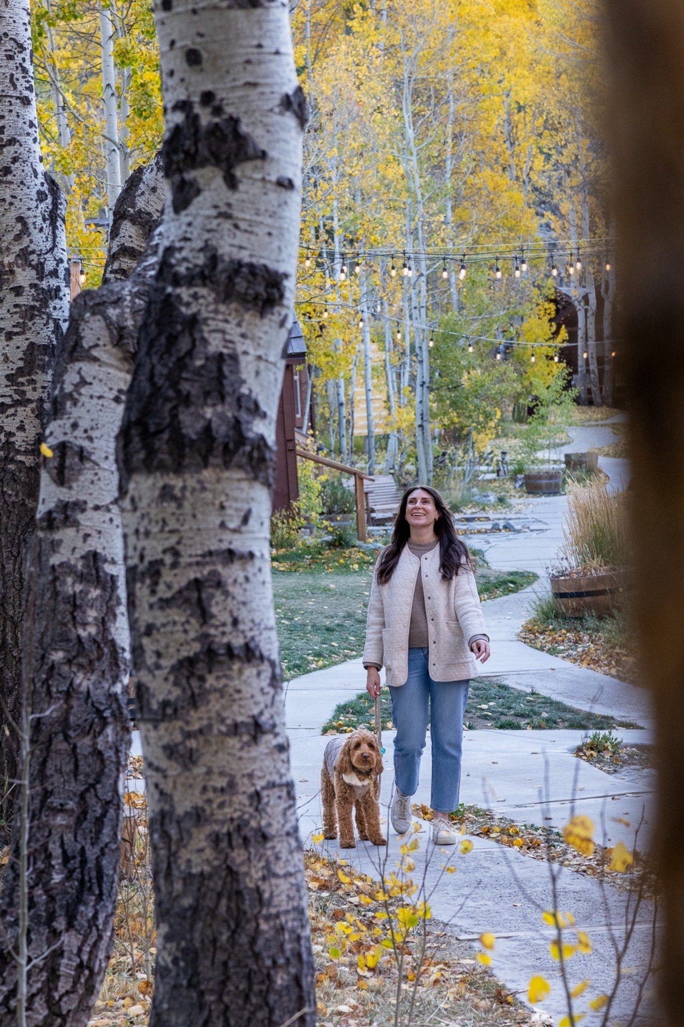 Fall layers 

#LTKSeasonal #LTKTravel #LTKFindsUnder100