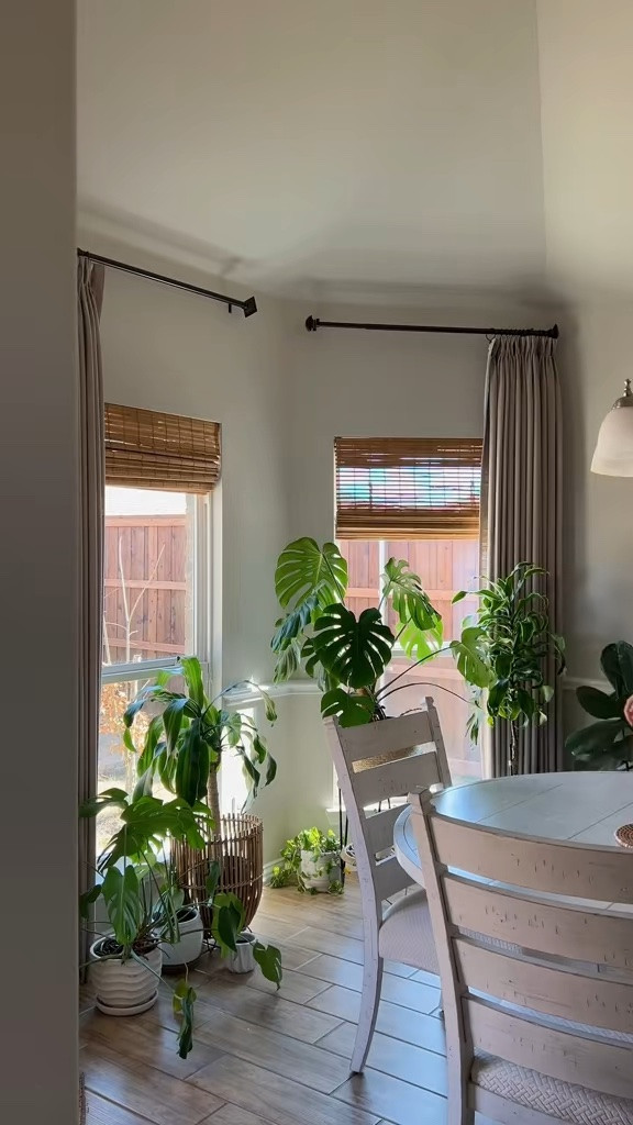 Monstera deliciosa

#LTKHome #LTKmomlife #LTKdayinmylife