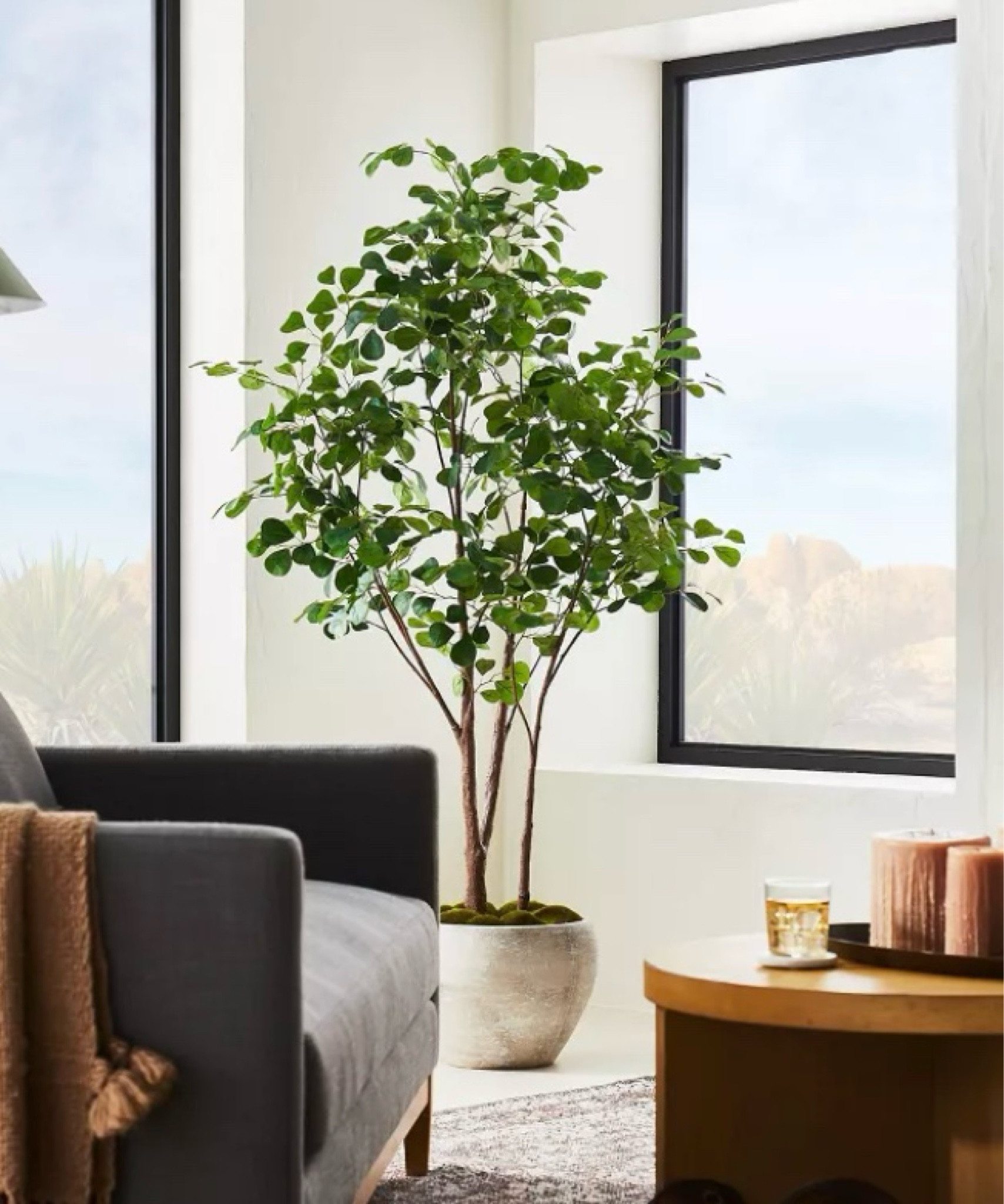Transform any space with this 72-inch full artificial ficus tree from Target—on sale now for just $144! 🌿 Perfect for adding a touch of greenery to your home without the upkeep. Shop the sale on LTK! #HomeDecor #FicusTree #TargetFinds #LTKHome

#LTKHome #LTKSeasonal