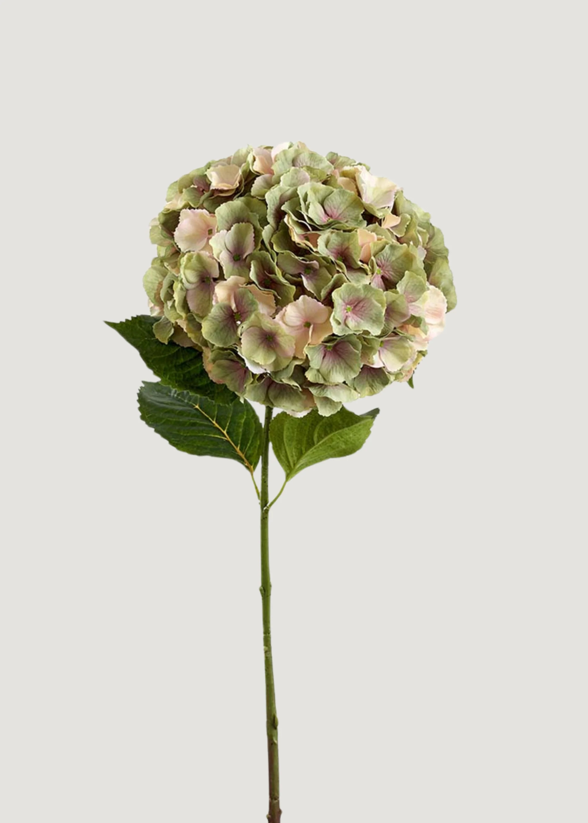 Green Mauve Hydrangea | Permanent Artificial Flowers | Afloral | Afloral