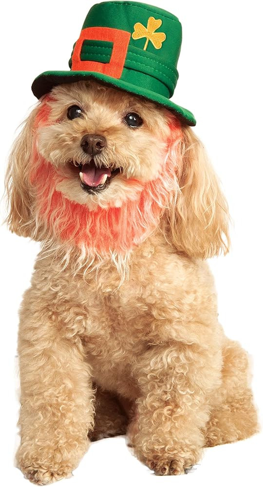 Visit the Rubie's Store | Amazon (US)