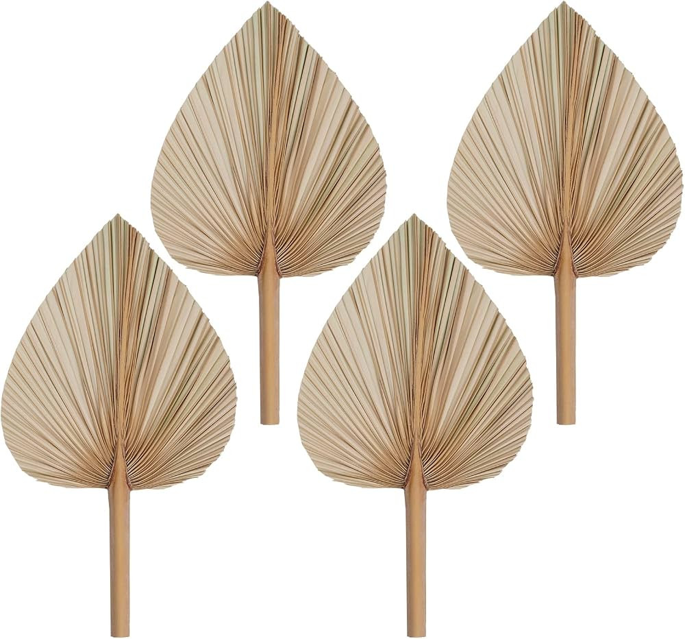Rbenxia 4 Pieces Natural Dried Palm Leaves Heart Shape Boho Palm Fans Tropical Palm Leaves Dried ... | Amazon (US)