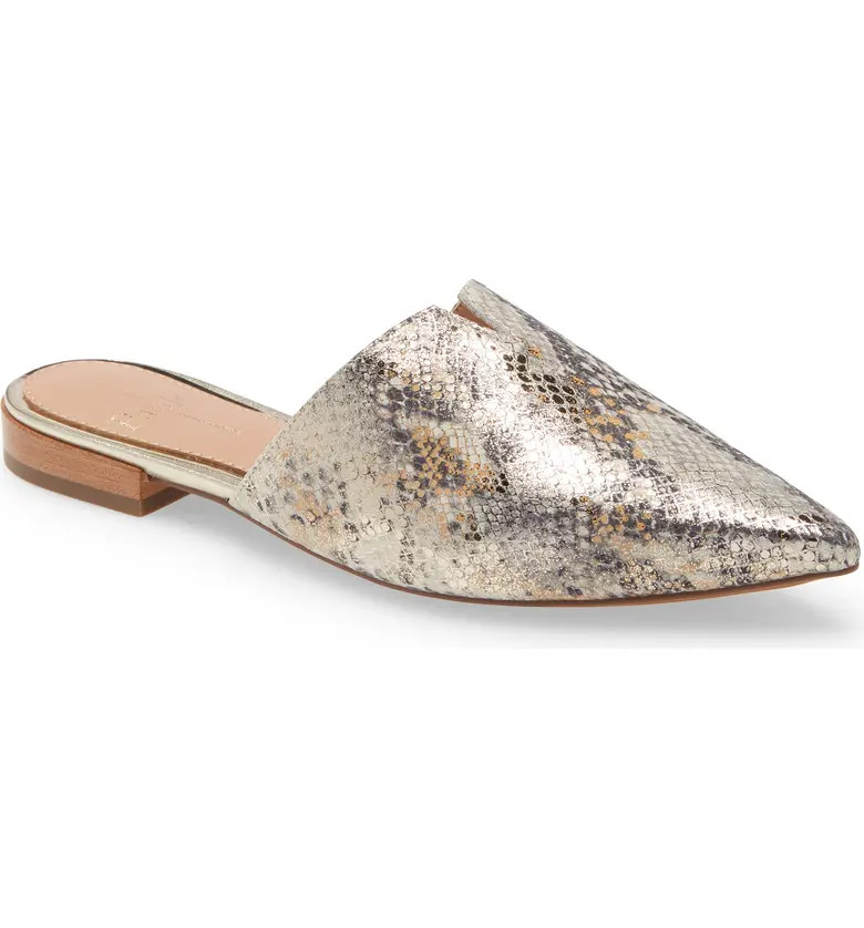 Linea Paola Aeryn Mule | Nordstrom