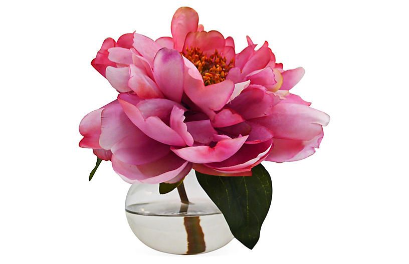 8" Peony in Bubble Vase, Faux | One Kings Lane