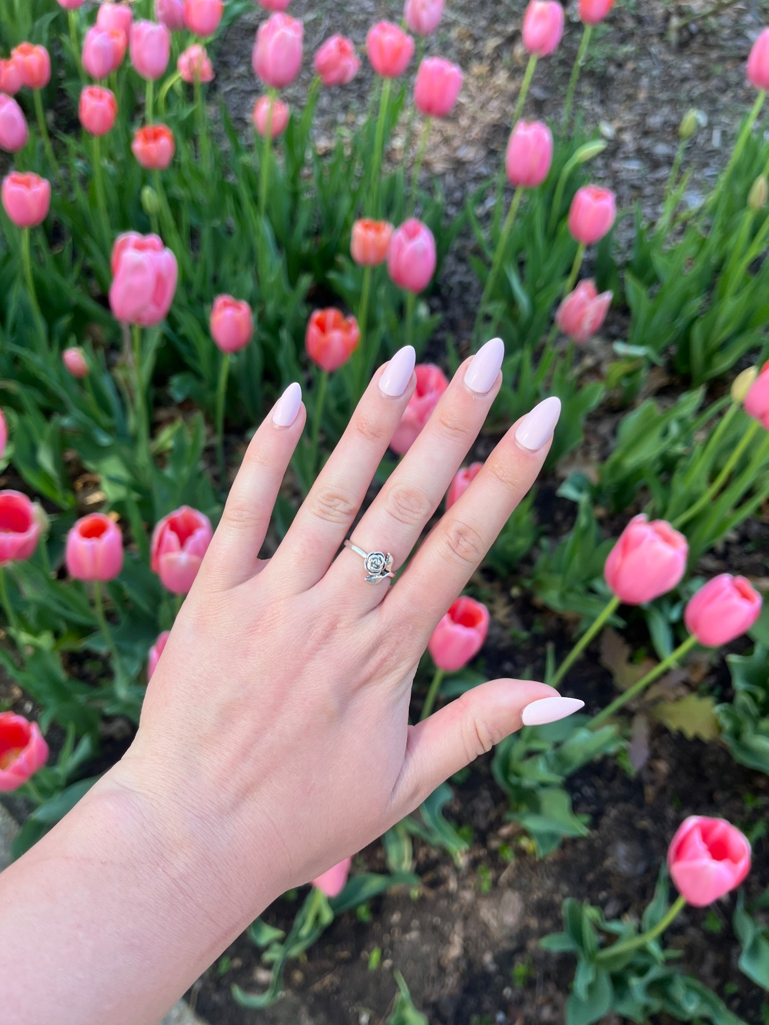 Pink spring nails

Press on nails  pink nails  almond nails  tulips  easy nails 

#LTKBeauty #LTKSeasonal #LTKFindsUnder50