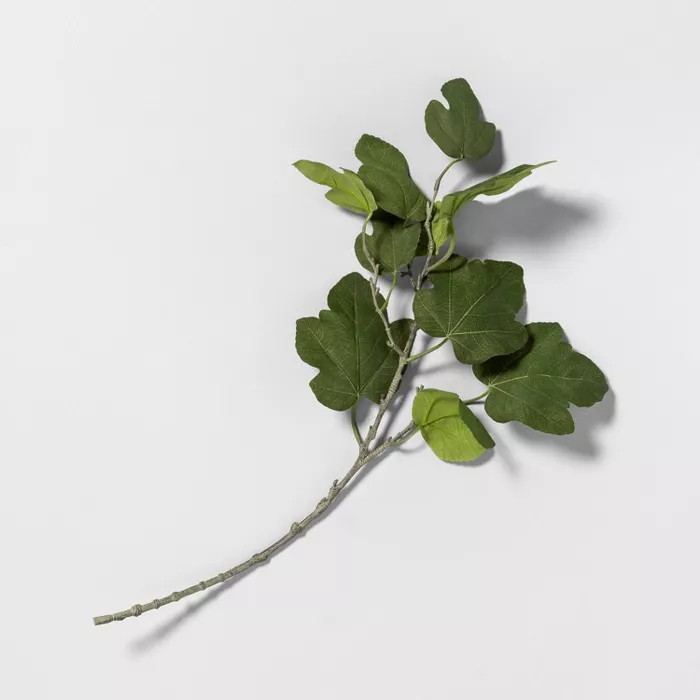 Faux Common Fig Stem - Hearth & Hand™ with Magnolia | Target