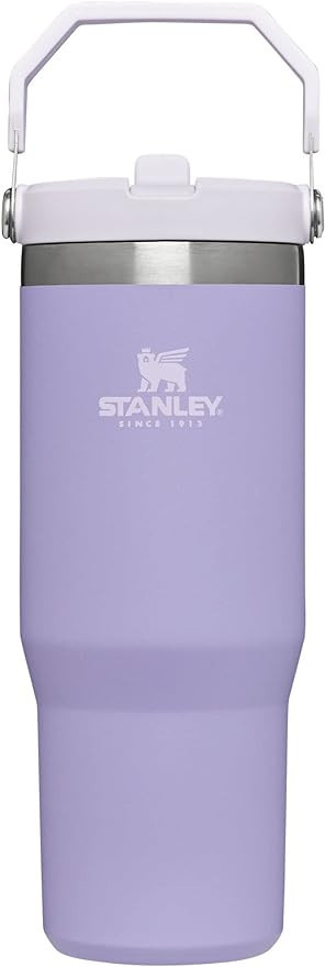 Stanley IceFlow Stainless Steel Tumbler with Straw, Vacuum Insulated Water Bottle for Home, Offic... | Amazon (US)