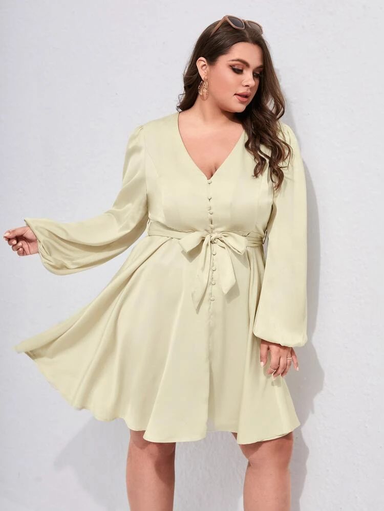Plus Button Up Belted Dress | SHEIN